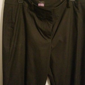 Ann Taylor dress pants
